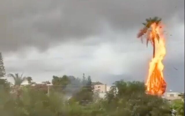 A palm tree catches fire after being struck by lightning in Rosh Ha'ayin on November 14, 2025. (Screen capture/X)